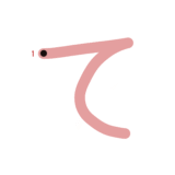 ひらがな『て』のなぞり書き（カラー）